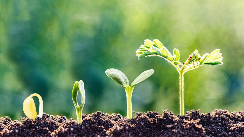 when you get sober, you get to experience the joy of personal growth